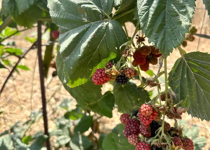 Casal Do Pequeno 別荘